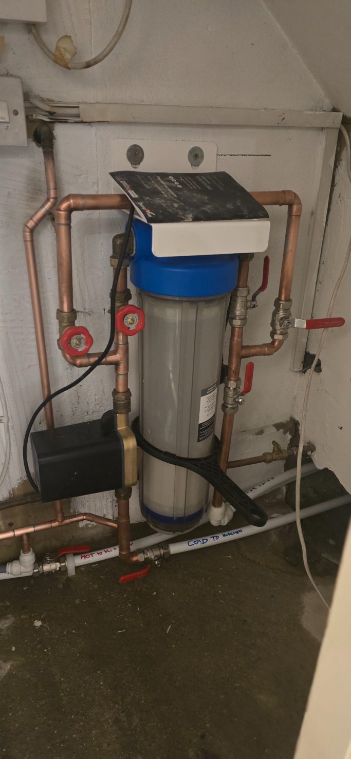 Filter and booster pump
